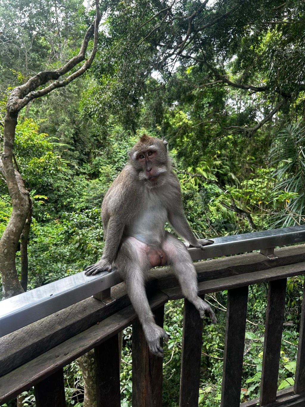 One month in SE Asia